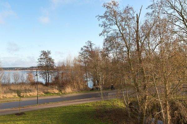 Feisneckblick