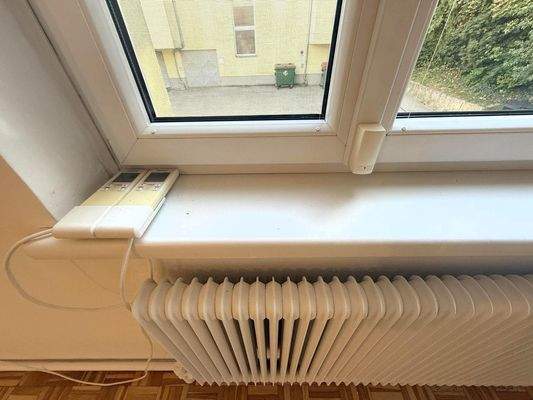 Wohnzimmerdetail / Insektengitter, Rolläden, Alarm