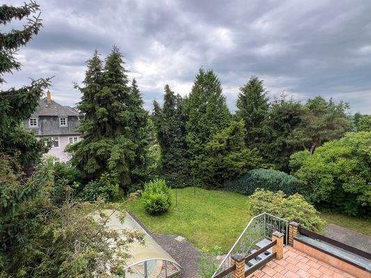 Blick in den Garten