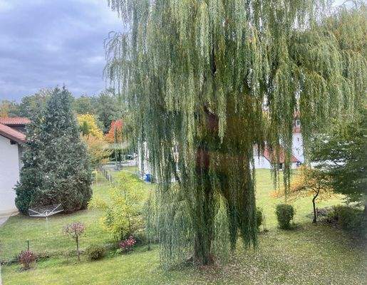 Ausblick von der Loggia