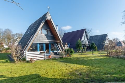Damp Häuser, Damp Haus kaufen