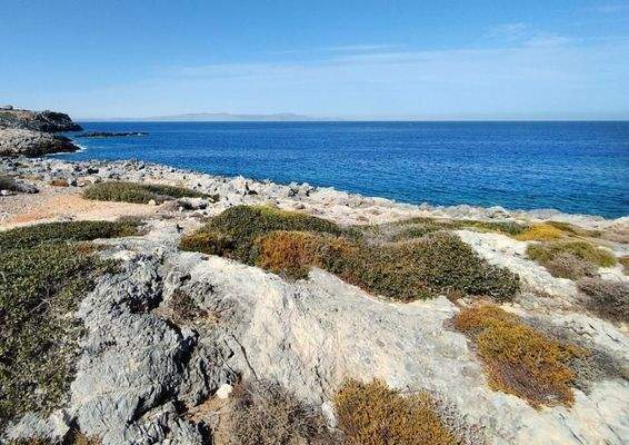 Kreta, Stavros: Grundstücke direkt am Meer mit Blick auf den Sonnenuntergang zu verkaufen