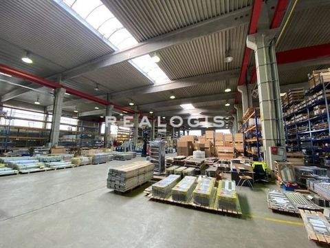 Sarstedt Halle, Sarstedt Hallenfläche