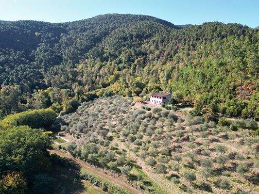 DJI_0846 - 1K JPEG.jpg