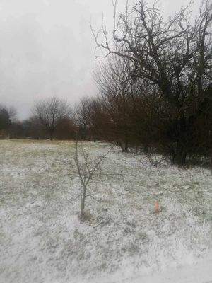 404949347_1122908825694719_6261294066169538121_n.j