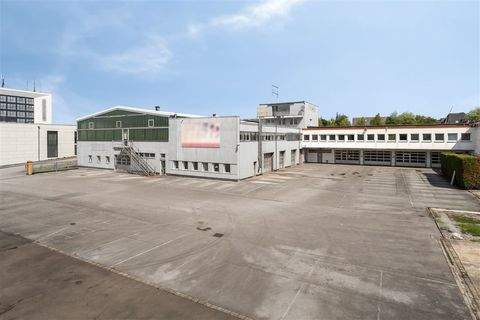 Dortmund Halle, Dortmund Hallenfläche