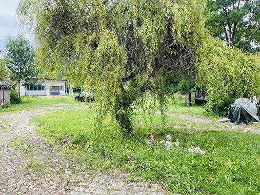 Blick in Richtung Gartenbereich 