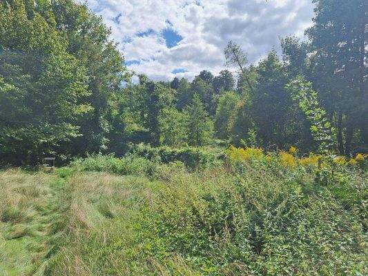 Blick Richtung Naturschutzgebiet