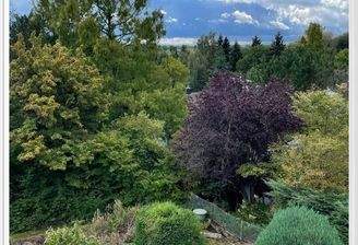 Teils gemeinschaftlicher Garten