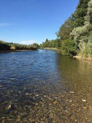 Amperauen, ca. 2 Gehminuten entfernt