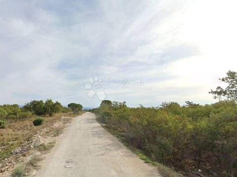 Vostarnica - Poluotok Bauernhöfe, Landwirtschaft, Vostarnica - Poluotok Forstwirtschaft