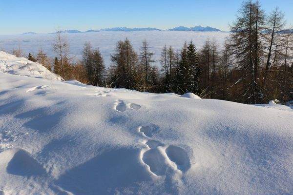 Vorfreude auf den Skiwinter