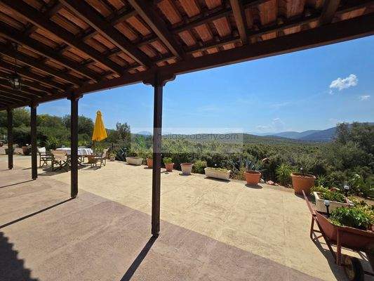 d9eaa2e5401a4f9d89e5fcc7b24f4b10-original