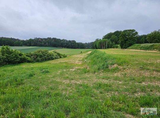 Landwirtschaftsfläche &quot;Axtfeld&quot; Gemarkung Walda