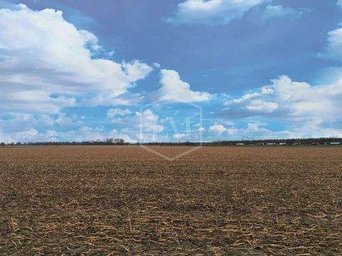 Erftstadt Bauernhöfe, Landwirtschaft, Erftstadt Forstwirtschaft