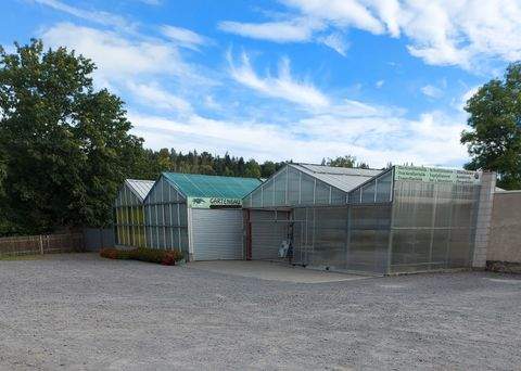 Königsee-Rottenbach Bauernhöfe, Landwirtschaft, Königsee-Rottenbach Forstwirtschaft