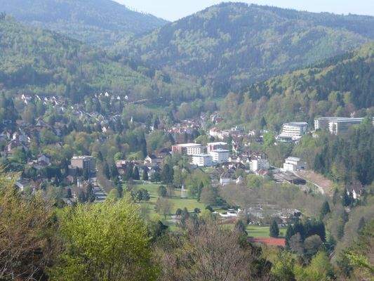 Blick auf Bad Herrenalb