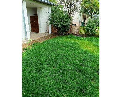 Garten - Blick zur Terrasse 1