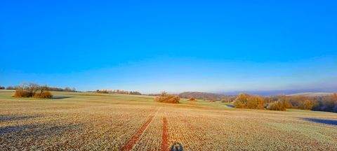 Sangerhausen Bauernhöfe, Landwirtschaft, Sangerhausen Forstwirtschaft