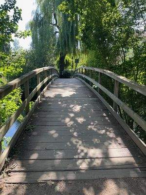 Zuwegung und Trave (1)