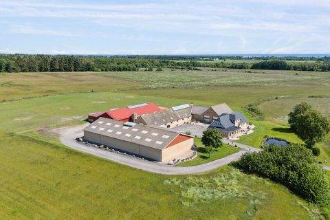 Sæby Bauernhöfe, Landwirtschaft, Sæby Forstwirtschaft