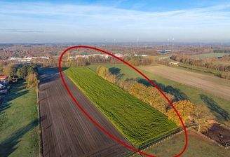 LF Auf der Hohen Haar