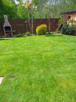 Gartenimpressionen
