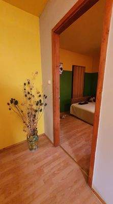 312110104_961080864847864_4573045552578736311_n.jp