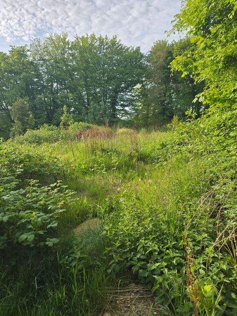 Burg Dithmarschen Grundstücke, Burg Dithmarschen Grundstück kaufen