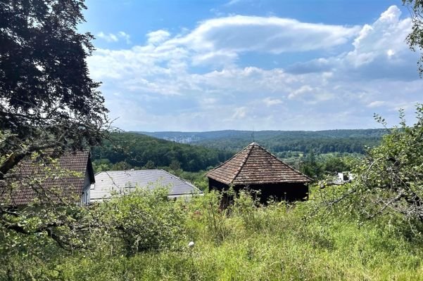 Blick Richtung Feuerbacher Tal