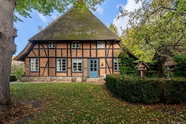 seitliche Gartenansicht