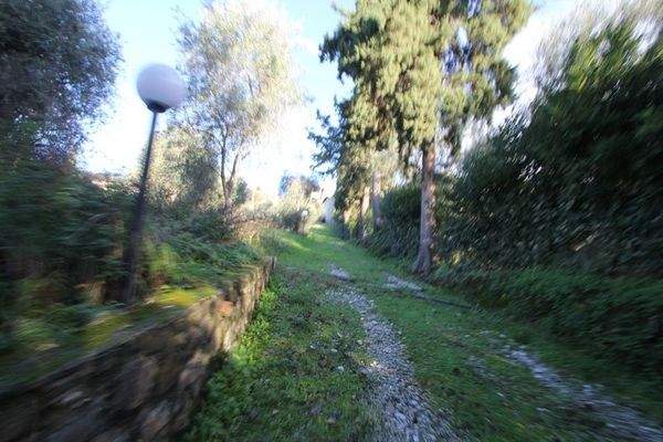 IMG_2783 (Kopie).JPG