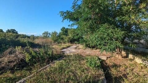 Diklo Bauernhöfe, Landwirtschaft, Diklo Forstwirtschaft