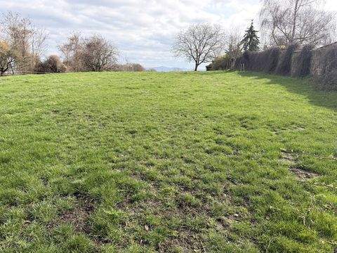 Bornheim Bauernhöfe, Landwirtschaft, Bornheim Forstwirtschaft