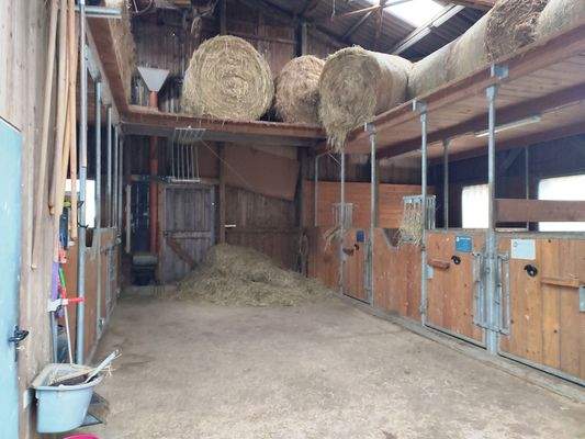 Innenansicht Stallung