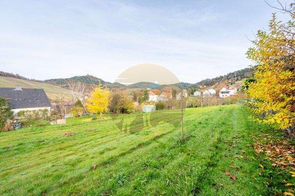 haus-baden-baden-neuweier-wolf-immobilien-grundstück