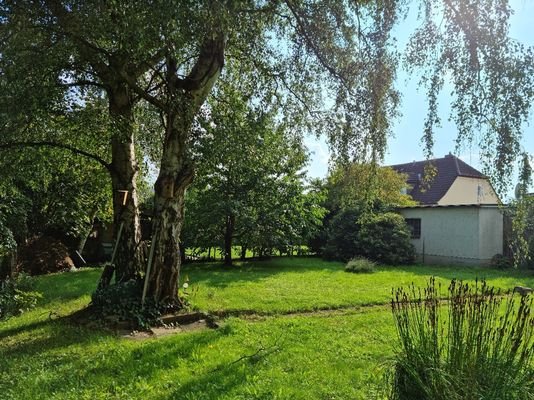 Garten 2.jpg