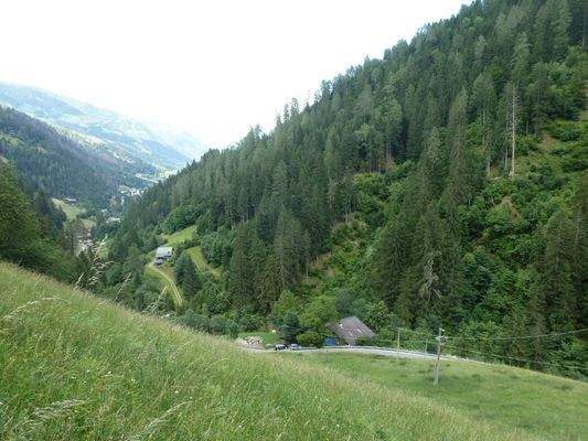 Hof-Sankt Pankraz-maso-val d'ultimo-Ultental-Wald-Wiese