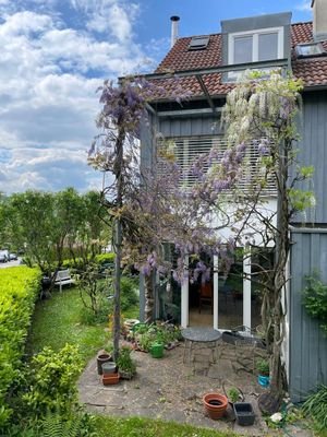 Ansicht im Frühling