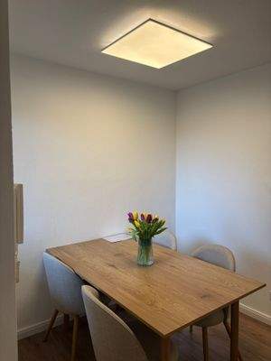 WhatsApp Image 2026-02-19 at 15.36.27 (1)