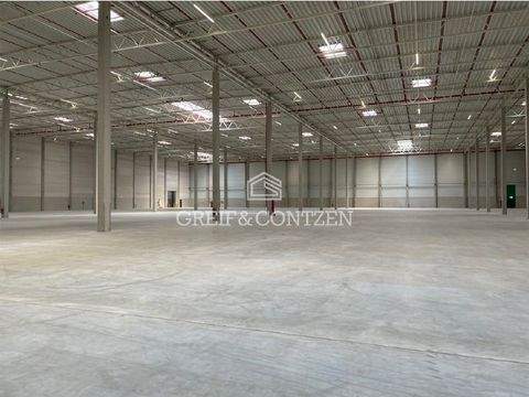 Köln Halle, Köln Hallenfläche