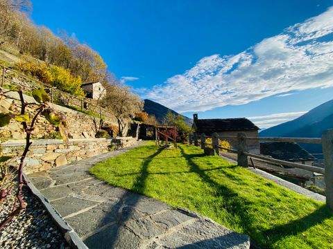 Falmenta  Häuser, Falmenta  Haus kaufen