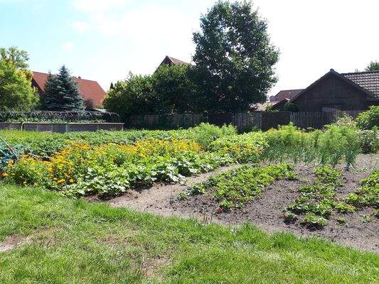 Impressionen Sommer25 (3).JPG