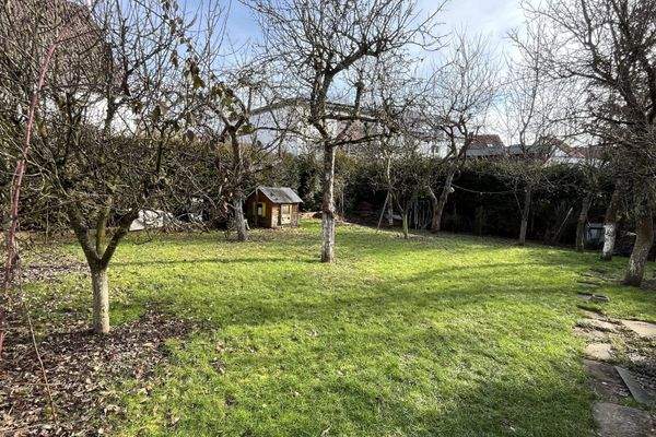 Garten mit Baumbestand