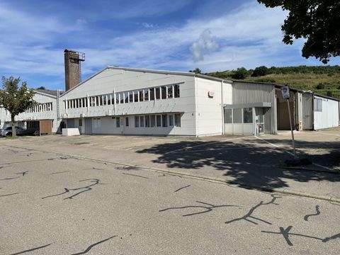 Sasbach am Kaiserstuhl Halle, Sasbach am Kaiserstuhl Hallenfläche