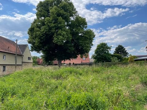 Lützen Grundstücke, Lützen Grundstück kaufen