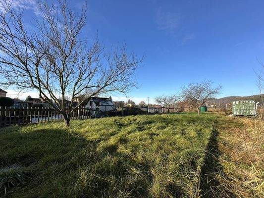 Blick zum hinteren Teil des Grundstücks
