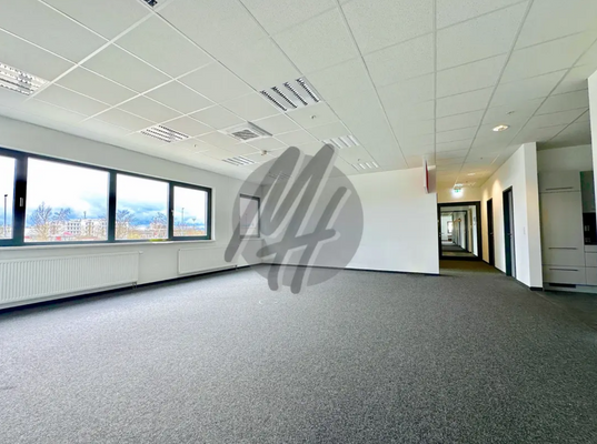 INFOS UNTER: 06171-586000