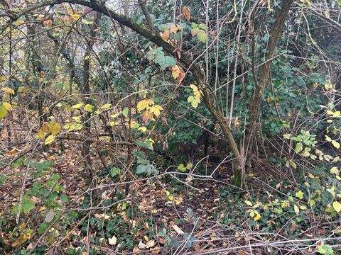 Sinzig Grundstücke, Sinzig Grundstück kaufen