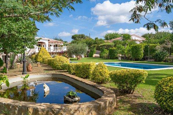 Herrlicher Garten mit Teich und Vegetation